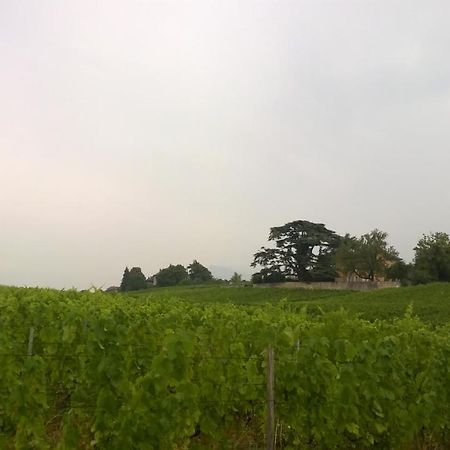 Château La Violette Les Marches Extérieur photo