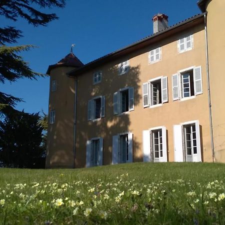 Château La Violette Les Marches Extérieur photo