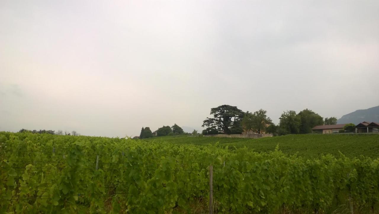 Château La Violette Les Marches Extérieur photo