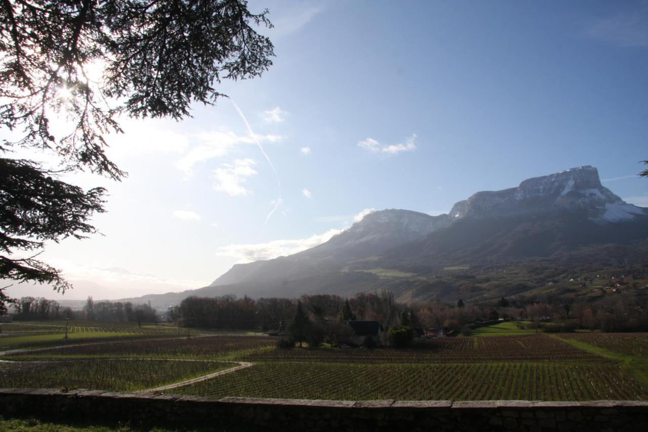 Château La Violette Les Marches Extérieur photo
